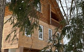 Beautiful House